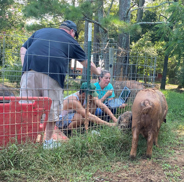 How Long to Pasture Your Breeding Pairs Together to Ensure Conception